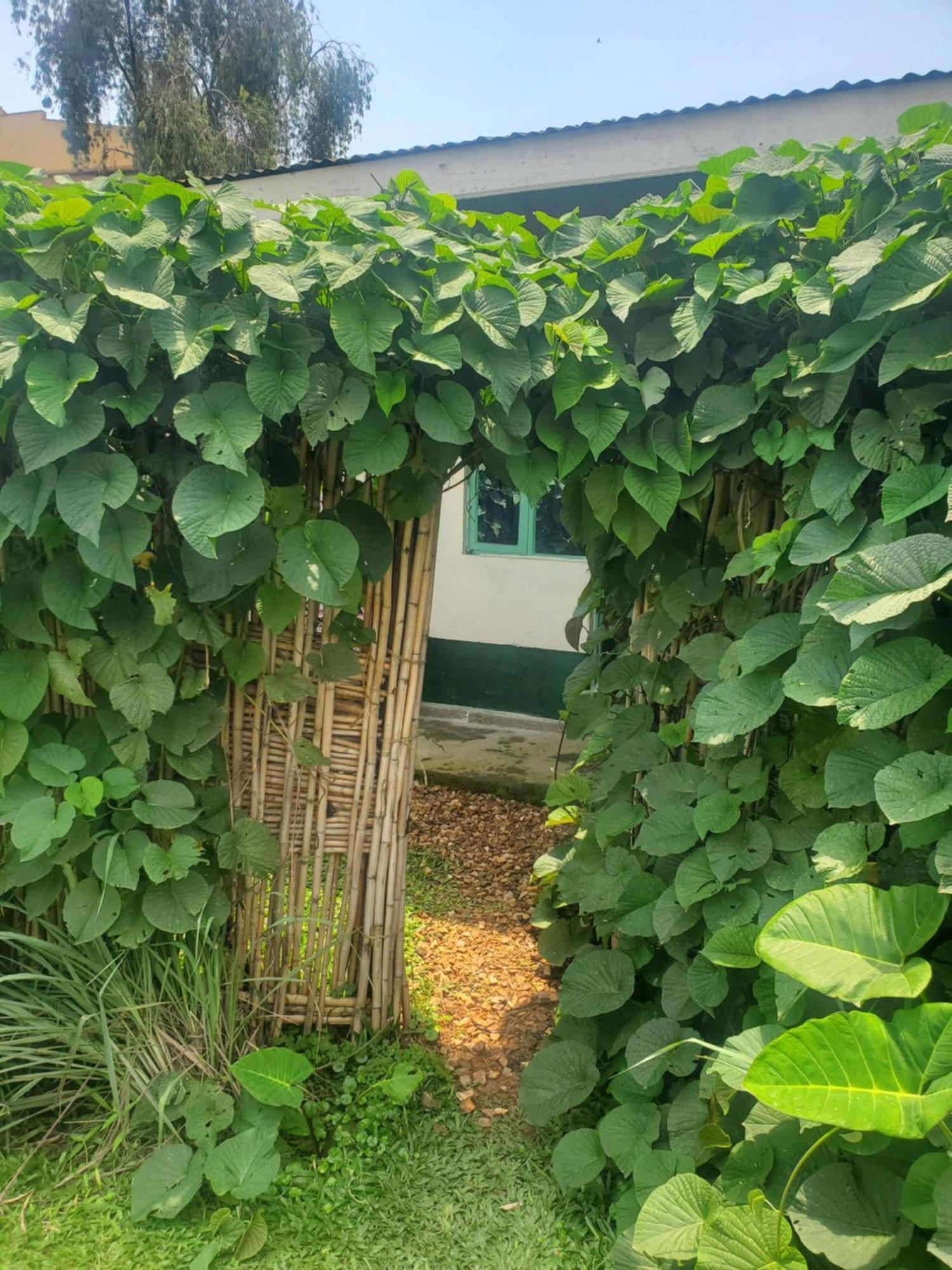 Gaia Eco Hub Bnb Fort Portal Eksteriør billede