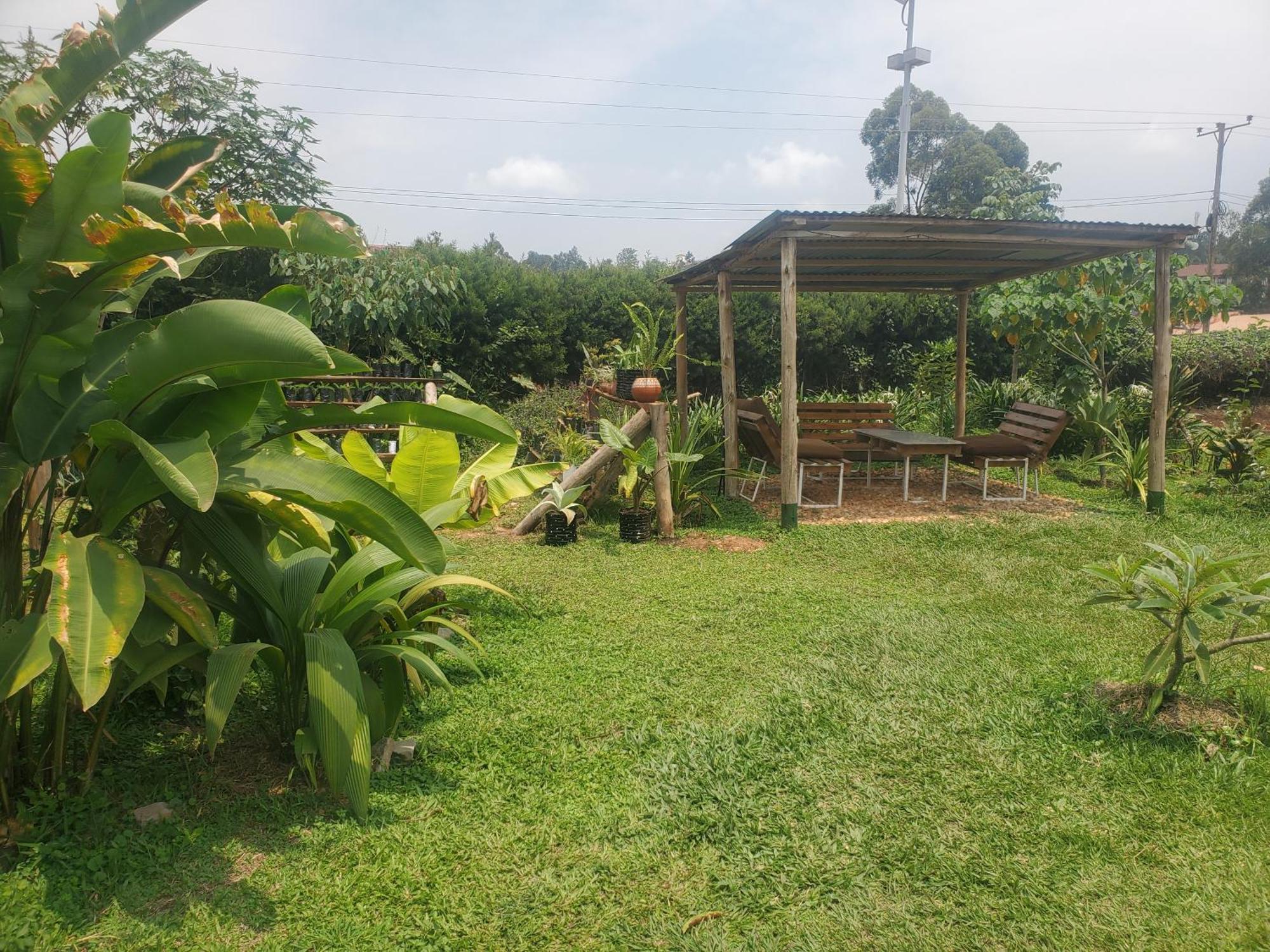 Gaia Eco Hub Bnb Bed and Breakfast Fort Portal Eksteriør billede