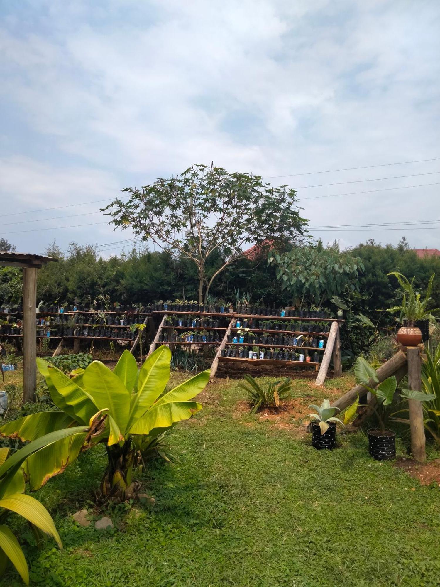 Gaia Eco Hub Bnb Fort Portal Eksteriør billede