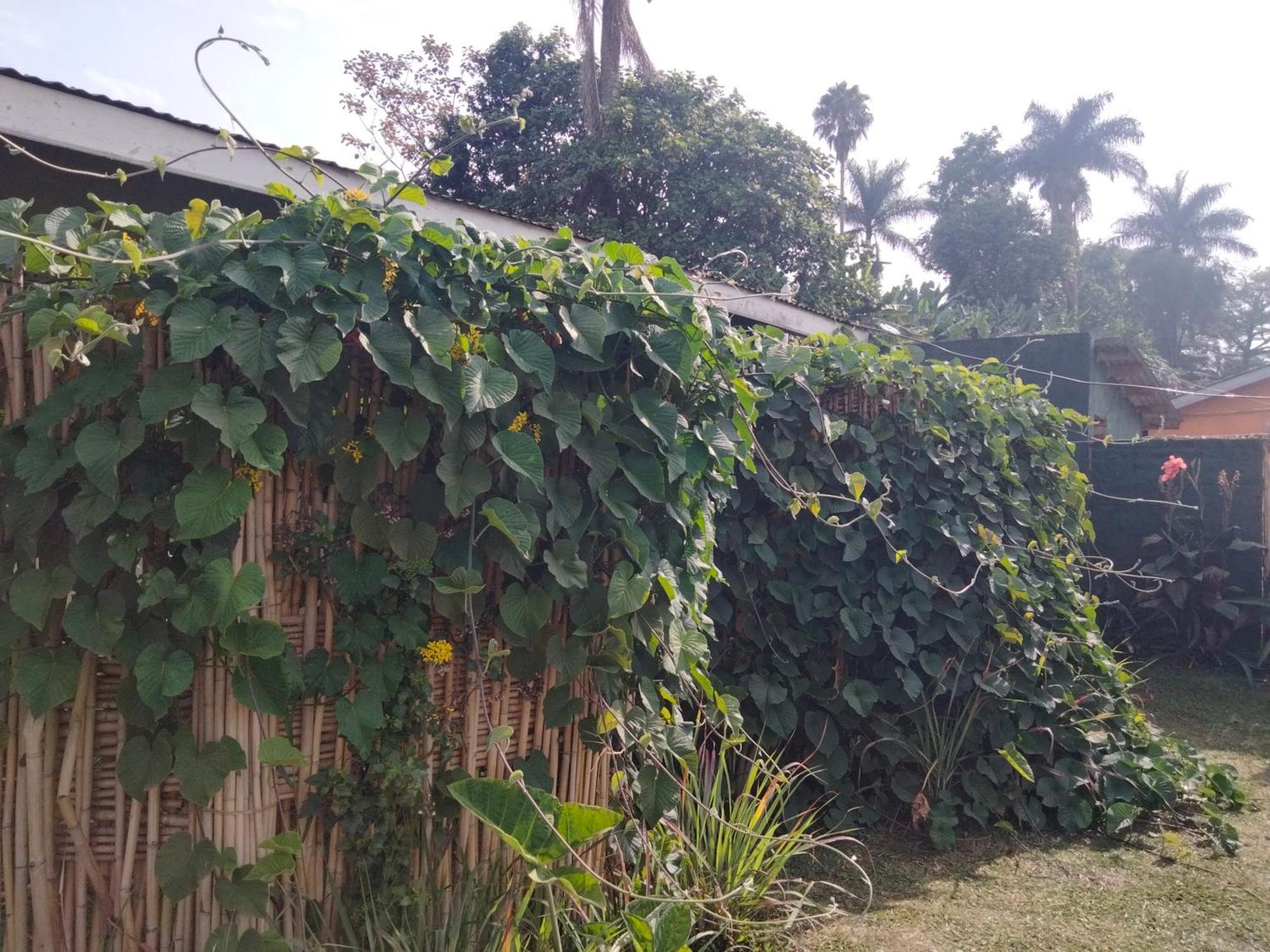 Gaia Eco Hub Bnb Fort Portal Eksteriør billede